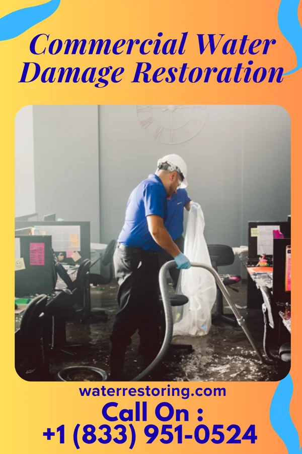 Commercial Water Damage Restoration in Williamsville, IL