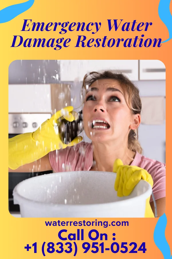 Emergency Water Damage Restoration in Williamsville, IL
