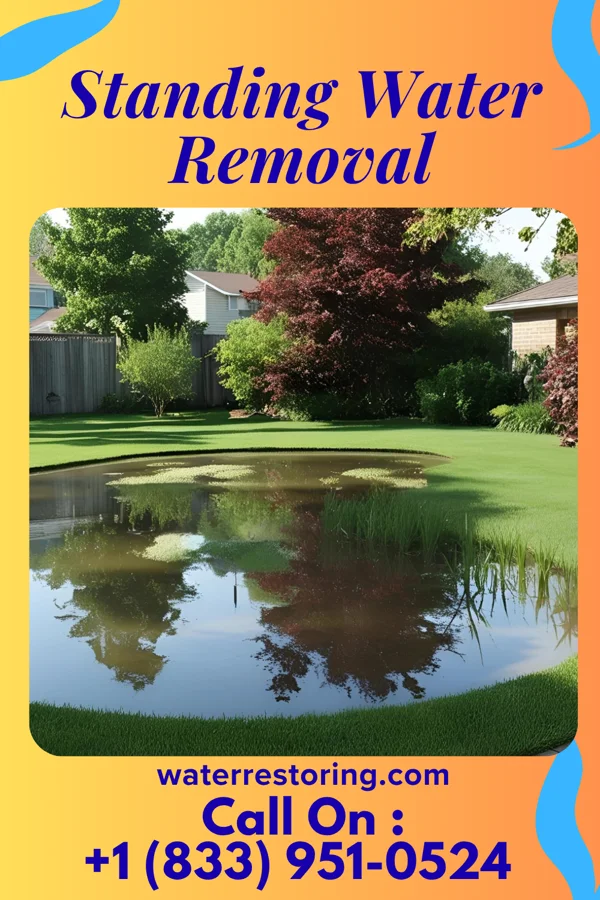 Standing Water Removal in Williamsville, IL